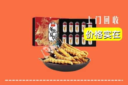 宁波市余姚回收冬虫夏草